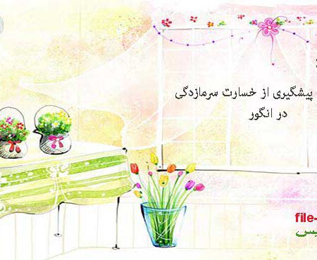 راههای پیشگیری از خسارت سرمازدگی در انگور